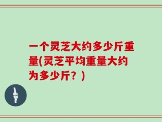 一个灵芝大约多少斤重量(灵芝平均重量大约为多少斤？)