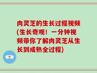 肉灵芝的生长过程视频(生长奇观！一分钟视频带你了解肉灵芝从生长到成熟全过程)