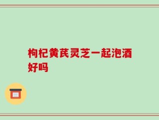 枸杞黄芪灵芝一起泡酒好吗