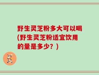 野生灵芝粉多大可以喝(野生灵芝粉适宜饮用的量是多少？)