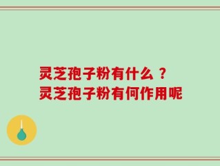 灵芝孢子粉有什么 ？灵芝孢子粉有何作用呢