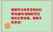 锁阳可以和灵芝枸杞红枣泡酒吗(锁阳配灵芝枸杞红枣泡酒，尝鲜不失养生)