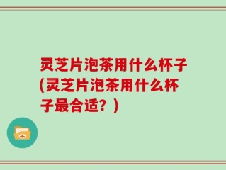 灵芝片泡茶用什么杯子(灵芝片泡茶用什么杯子最合适？)