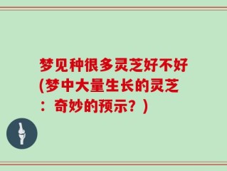 梦见种很多灵芝好不好(梦中大量生长的灵芝：奇妙的预示？)