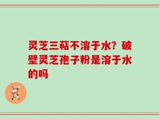 灵芝三萜不溶于水？破壁灵芝孢子粉是溶于水的吗