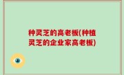种灵芝的高老板(种植灵芝的企业家高老板)
