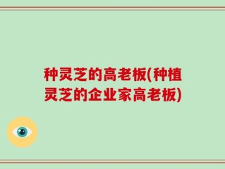 种灵芝的高老板(种植灵芝的企业家高老板)