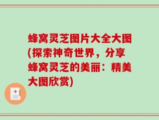 蜂窝灵芝图片大全大图(探索神奇世界，分享蜂窝灵芝的美丽：精美大图欣赏)