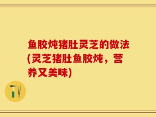 鱼胶炖猪肚灵芝的做法(灵芝猪肚鱼胶炖，营养又美味)