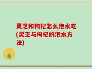 灵芝和枸杞怎么泡水吃(灵芝与枸杞的泡水方法)