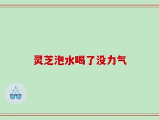 灵芝泡水喝了没力气