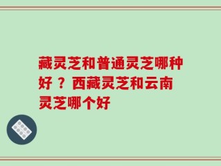 藏灵芝和普通灵芝哪种好 ？西藏灵芝和云南灵芝哪个好