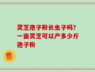 灵芝孢子粉长虫子吗？一亩灵芝可以产多少斤孢子粉