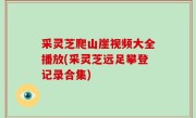 采灵芝爬山崖视频大全播放(采灵芝远足攀登记录合集)