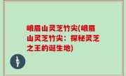 峨眉山灵芝竹尖(峨眉山灵芝竹尖：探秘灵芝之王的诞生地)
