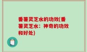 番薯灵芝水的功效(番薯灵芝水：神奇的功效和好处)
