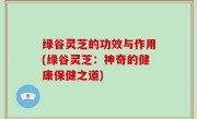 绿谷灵芝的功效与作用(绿谷灵芝：神奇的健康保健之道)