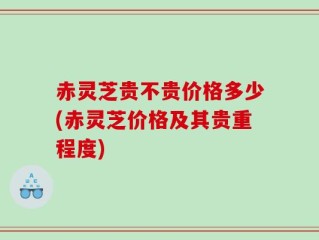 赤灵芝贵不贵价格多少(赤灵芝价格及其贵重程度)
