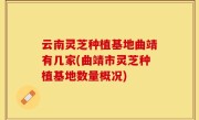 云南灵芝种植基地曲靖有几家(曲靖市灵芝种植基地数量概况)