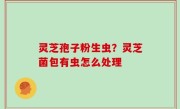 灵芝孢子粉生虫？灵芝菌包有虫怎么处理