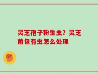 灵芝孢子粉生虫？灵芝菌包有虫怎么处理