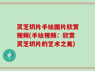 灵芝切片手绘图片欣赏视频(手绘视频：欣赏灵芝切片的艺术之美)