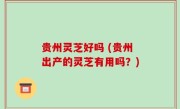 贵州灵芝好吗 (贵州出产的灵芝有用吗？)