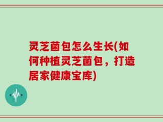 灵芝菌包怎么生长(如何种植灵芝菌包，打造居家健康宝库)