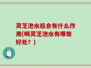灵芝泡水后会有什么作用(喝灵芝泡水有哪些好处？)