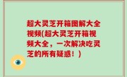 超大灵芝开箱图解大全视频(超大灵芝开箱视频大全，一次解决吃灵芝的所有疑惑！)