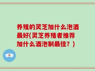 养殖的灵芝加什么泡酒最好(灵芝养殖者推荐加什么酒泡制最佳？)