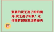 瓶装的灵芝孢子粉的图片(灵芝孢子粉瓶：让你拥有健康生活的秘诀
