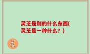 灵芝是别的什么东西(灵芝是一种什么？)