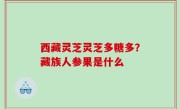 西藏灵芝灵芝多糖多？藏族人参果是什么
