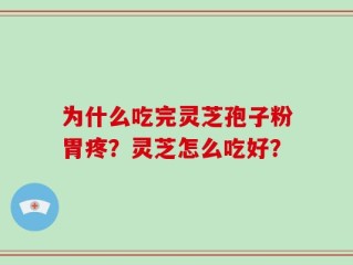 为什么吃完灵芝孢子粉胃疼？灵芝怎么吃好？