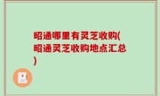 昭通哪里有灵芝收购(昭通灵芝收购地点汇总)