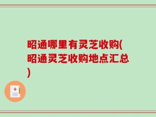 昭通哪里有灵芝收购(昭通灵芝收购地点汇总)