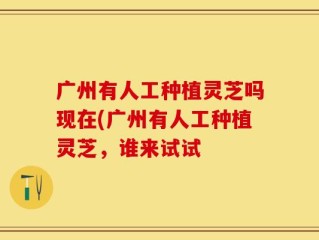 广州有人工种植灵芝吗现在(广州有人工种植灵芝，谁来试试