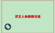 灵芝人参鹿鞭泡酒