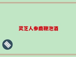 灵芝人参鹿鞭泡酒