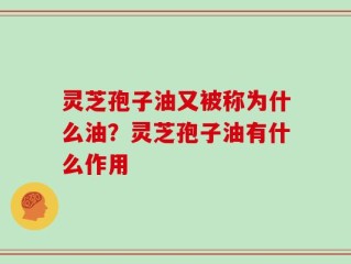 灵芝孢子油又被称为什么油？灵芝孢子油有什么作用
