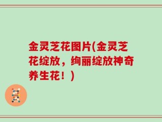 金灵芝花图片(金灵芝花绽放，绚丽绽放神奇养生花！)