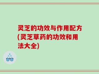 灵芝的功效与作用配方(灵芝草药的功效和用法大全)
