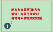 地方台肉灵芝(地方台报道：肉灵芝受欢迎 各地开采种植增收致富)