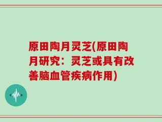原田陶月灵芝(原田陶月研究：灵芝或具有改善脑血管疾病作用)