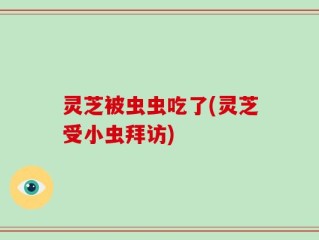灵芝被虫虫吃了(灵芝受小虫拜访)