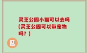 灵芝公园小猫可以去吗(灵芝公园可以带宠物吗？)