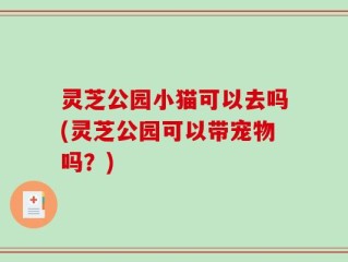 灵芝公园小猫可以去吗(灵芝公园可以带宠物吗？)