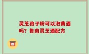 灵芝孢子粉可以泡黄酒吗？鲁南灵芝酒配方