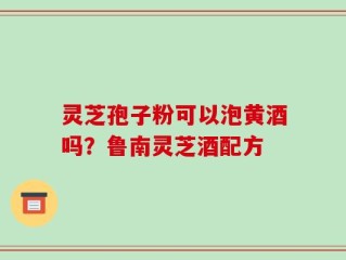 灵芝孢子粉可以泡黄酒吗？鲁南灵芝酒配方